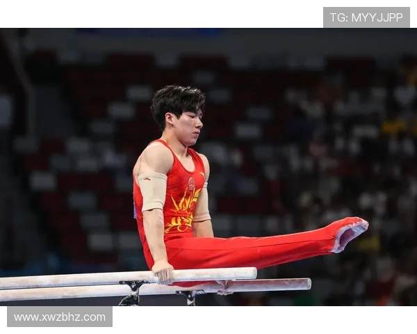 张博恒谈对体操未来的坚定信